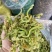 2024年精品脱水花菜干低糖无添加青杆花菜干
