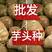 芋头种8520脱毒高产提供种植技术保证质量全国发货