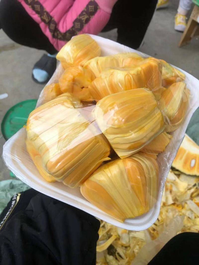 越南西贡南部菠萝蜜红肉，只做整车批发，不做零售