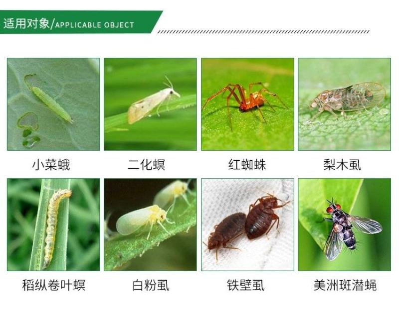 上海悦联捷戈5%阿维菌素红蜘蛛农药杀虫剂杀螨剂根结线虫