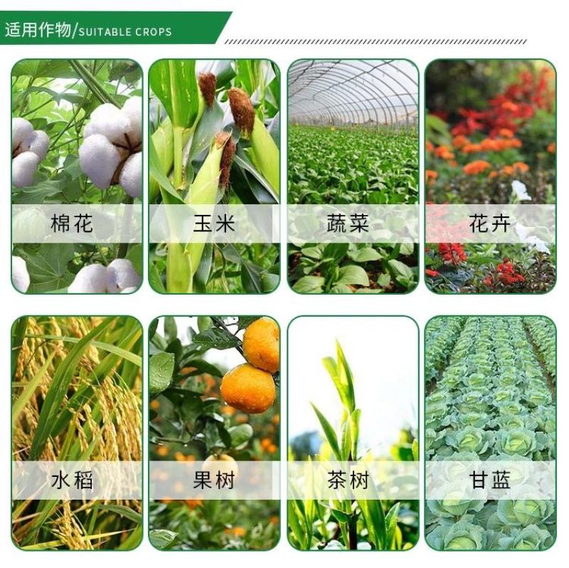 上海悦联捷戈5%阿维菌素红蜘蛛农药杀虫剂杀螨剂根结线虫