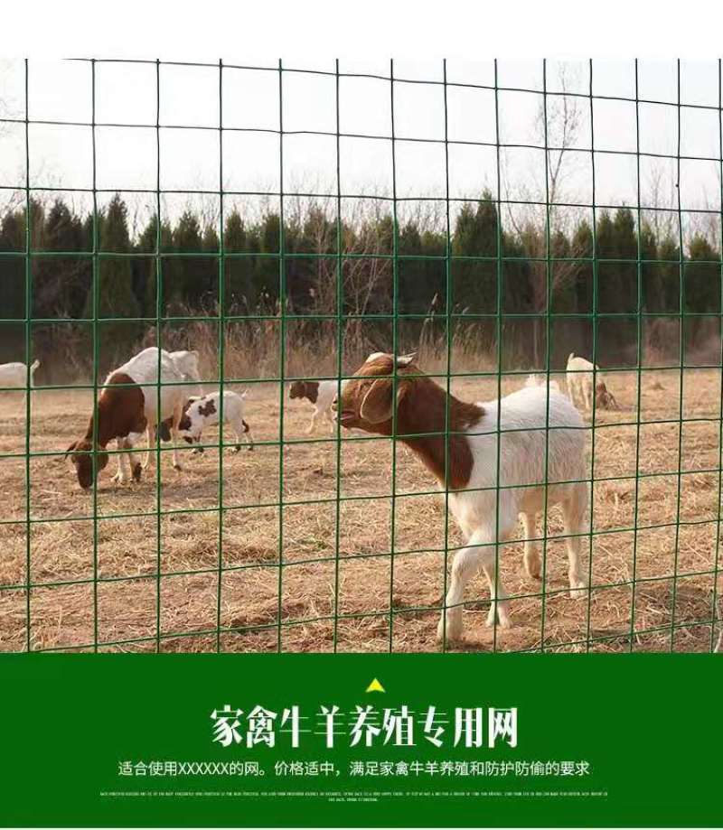 荷兰网围栏网铁丝网养鸡网栅栏护栏网防护网隔离栏圈山围栏