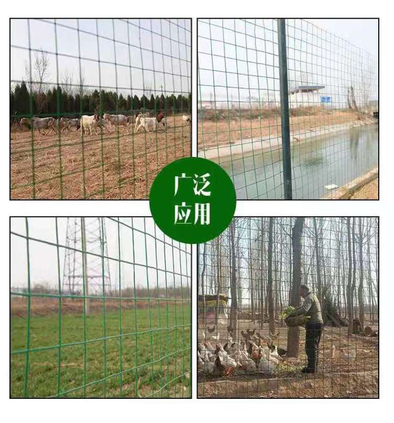 荷兰网围栏网铁丝网养鸡网栅栏护栏网防护网隔离栏圈山围栏