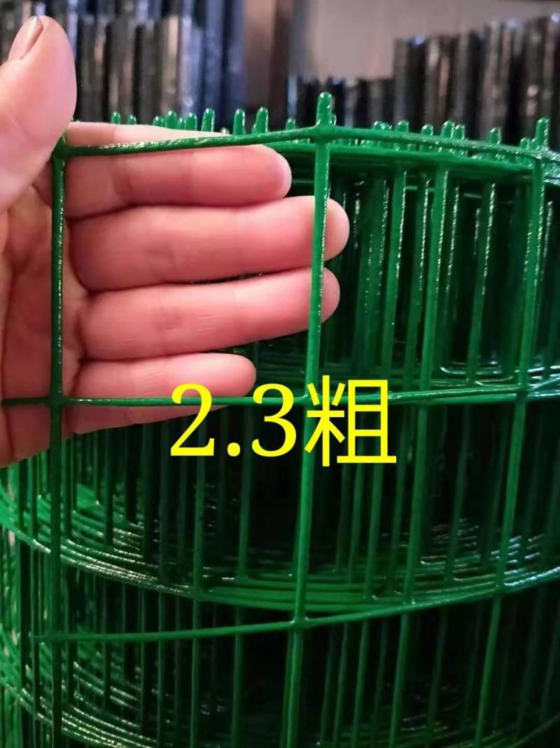 荷兰网养殖网野鸡养殖网圈地荷兰网铁丝网隔离防护网