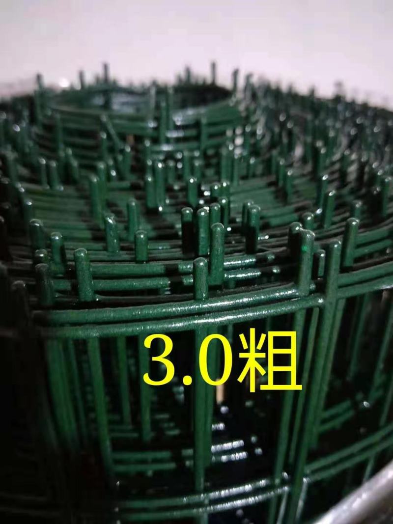 荷兰网养殖网野鸡养殖网圈地荷兰网铁丝网隔离防护网