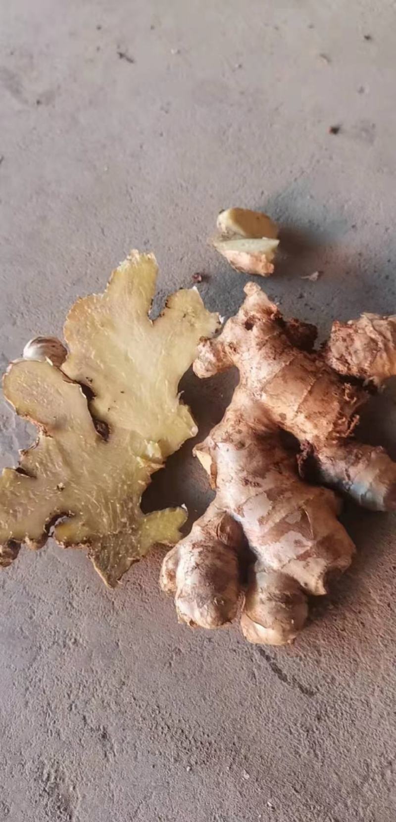 缅甸生态姜，产地直销