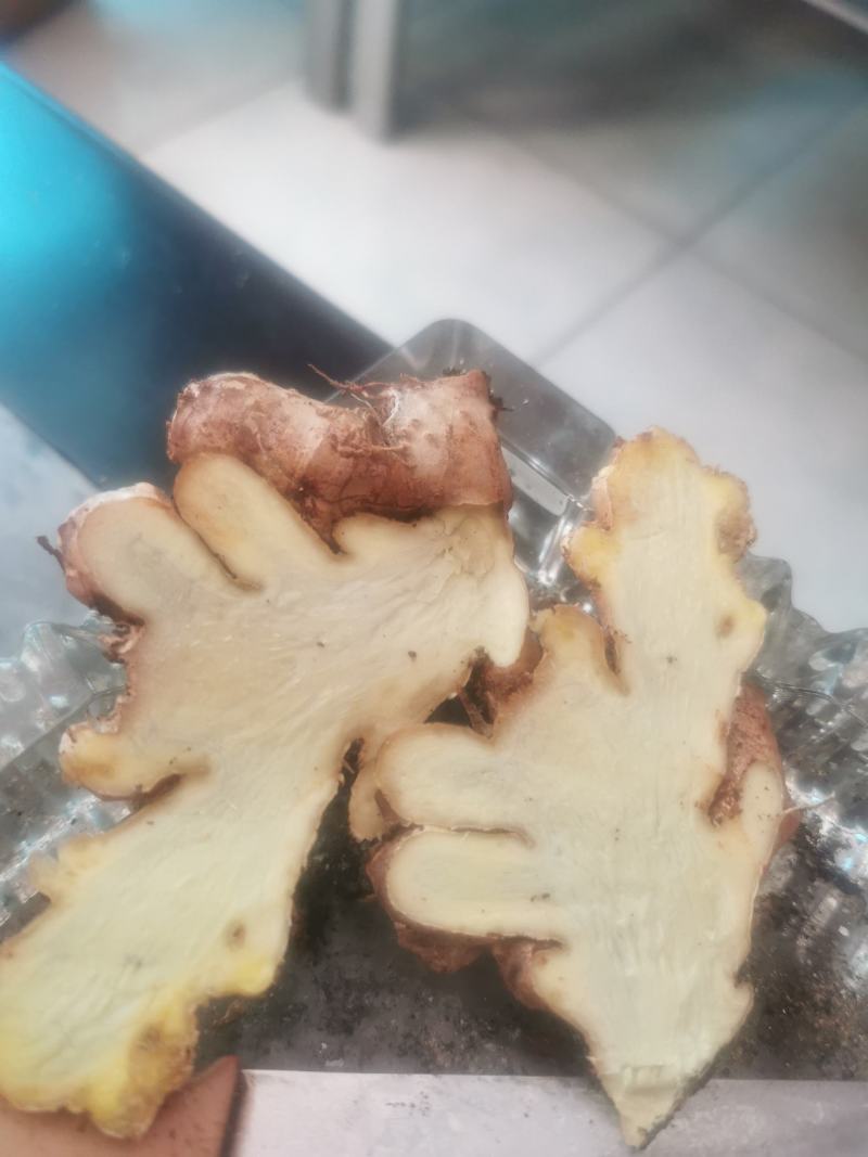 缅甸生态姜，产地直销