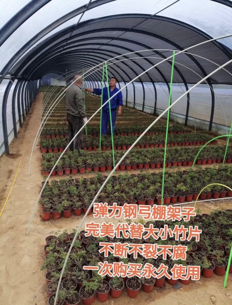 弹力钢育苗棚架子葡萄避雨棚支架豆角厂家直销量大优惠