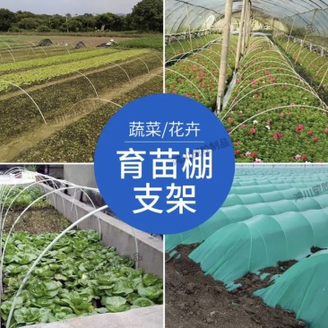 弹力钢育苗棚架子葡萄避雨棚支架豆角厂家直销量大优惠