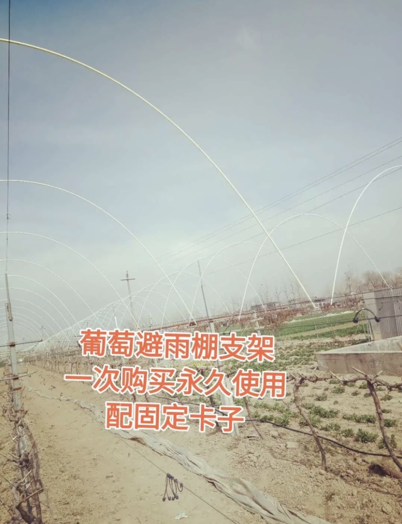 弹力钢育苗棚架子葡萄避雨棚支架豆角厂家直销量大优惠