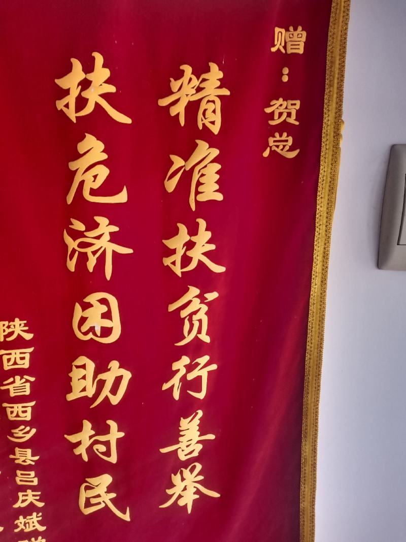 山西肉牛繁殖基地欢迎您