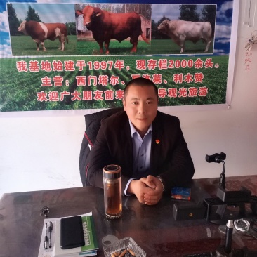 山西肉牛繁殖基地欢迎您