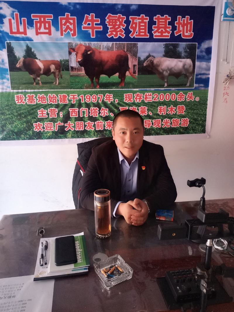 山西肉牛繁殖基地欢迎您
