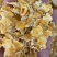 厂家直销精致优选蒸汽玉米片养殖好饲料全国发货