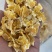 厂家直销精致优选蒸汽玉米片养殖好饲料全国发货