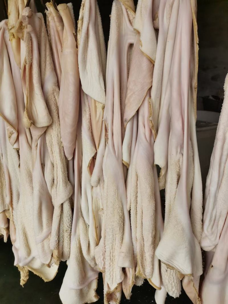 半成品牛肚，**无任何添加剂