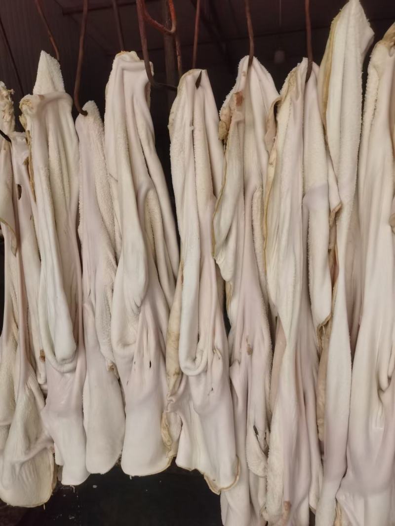 半成品牛肚，**无任何添加剂