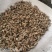 天葵子千年老鼠屎包邮发货正品质量批发