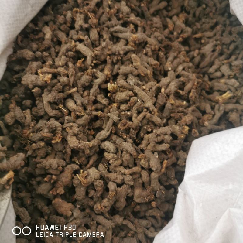 天葵子千年老鼠屎包邮发货正品质量批发