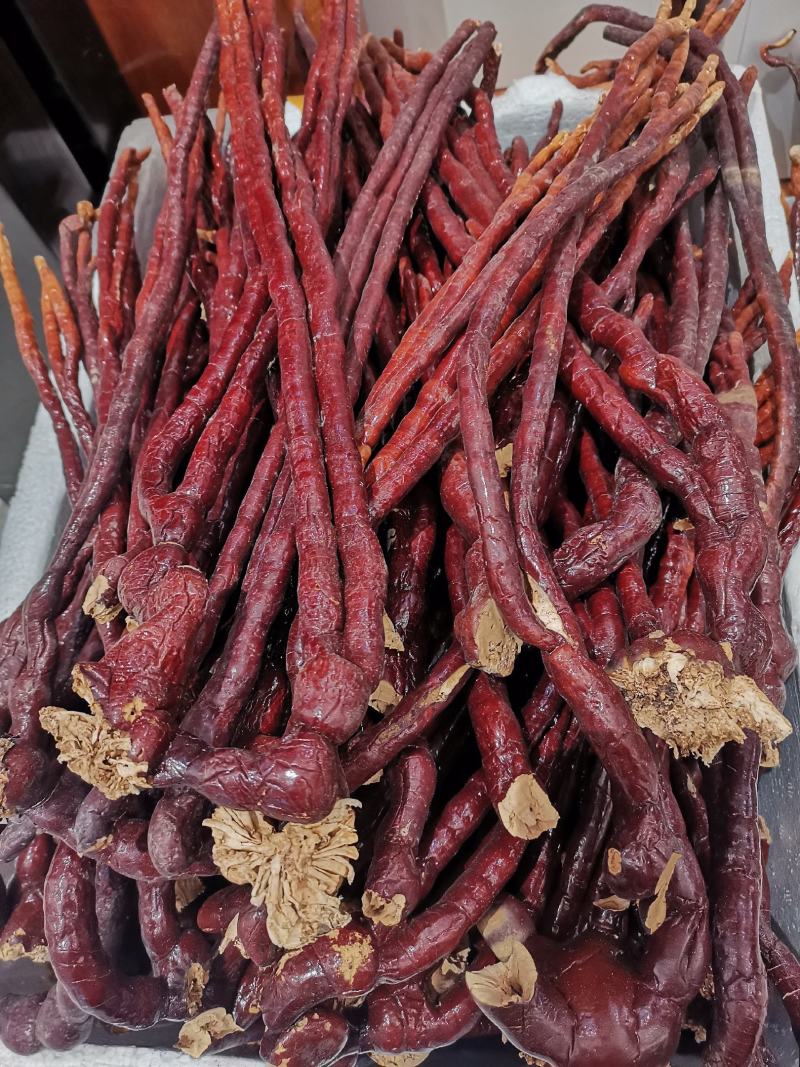 灵芝灵芝草（仙草）批发零售质量保证一件代发