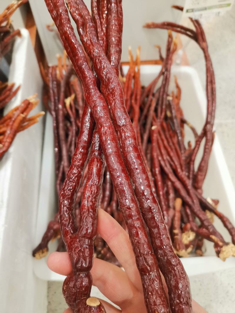 灵芝灵芝草（仙草）批发零售质量保证一件代发