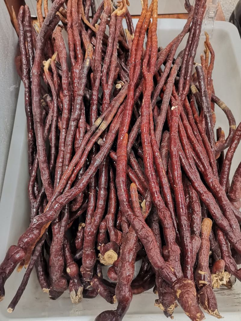 灵芝灵芝草（仙草）批发零售质量保证一件代发