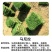 进口草坪种子四季常青黑麦草马尼拉狗牙根庭院护坡绿化草皮草