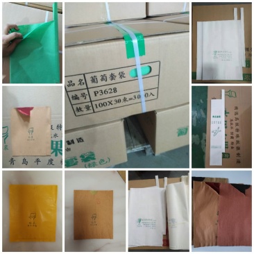 山东青岛专产水果套袋葡萄套袋，梨套袋，桃子套袋等