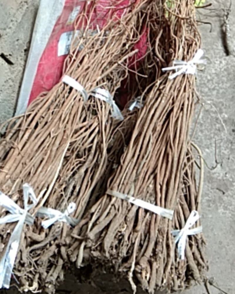 云南野生千斤拔无硫自己加工生厂