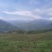 彝家黑猪生活在海拔2000米的高山上，需要的各位老板联系