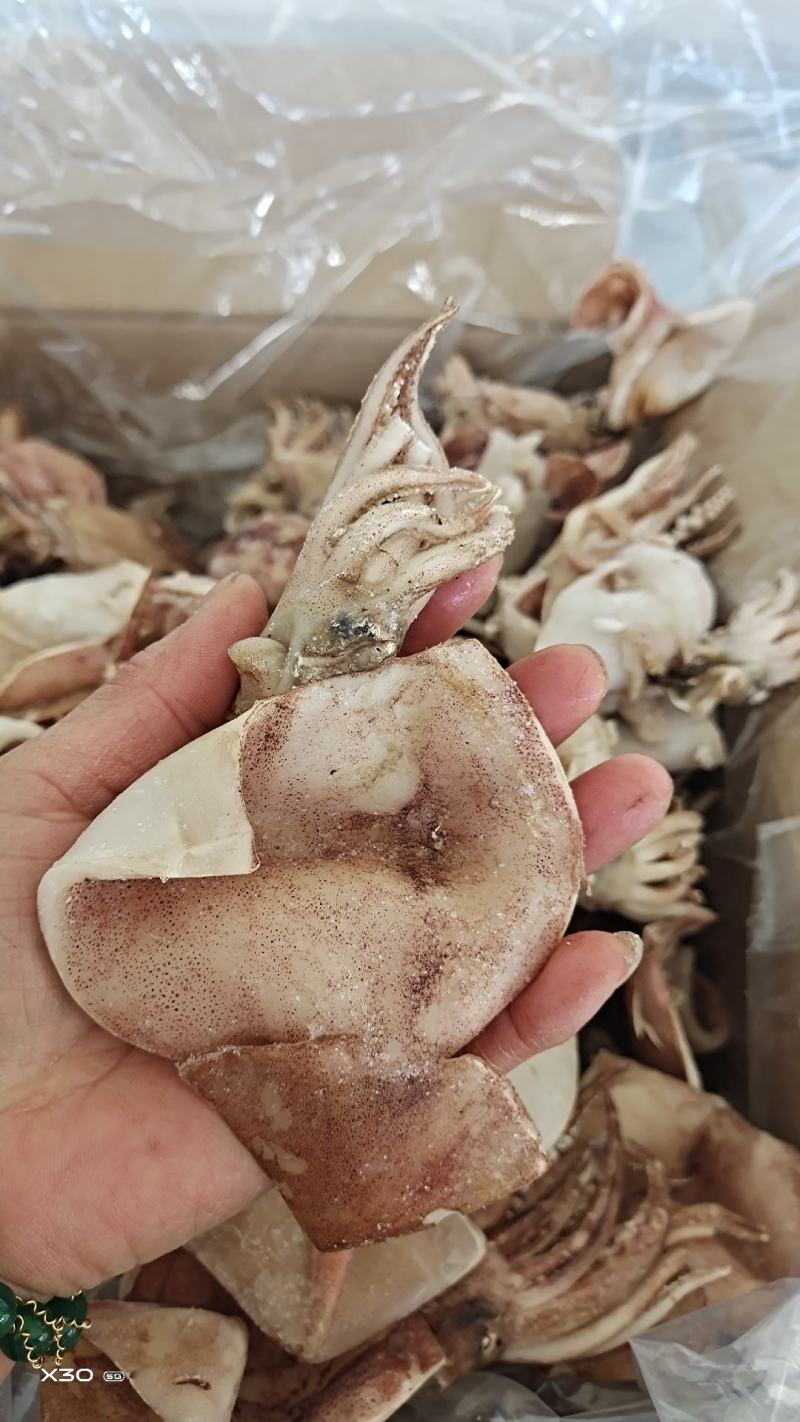 鱿鱼干鲜冻品去内脏的！做烧烤，饭店专用6斤.8斤1手货源