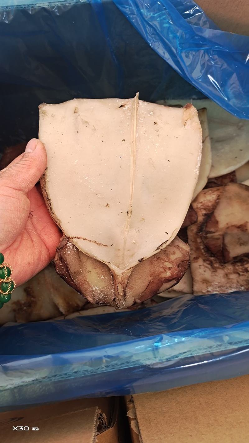 鱿鱼干鲜冻品去内脏的！做烧烤，饭店专用6斤.8斤1手货源