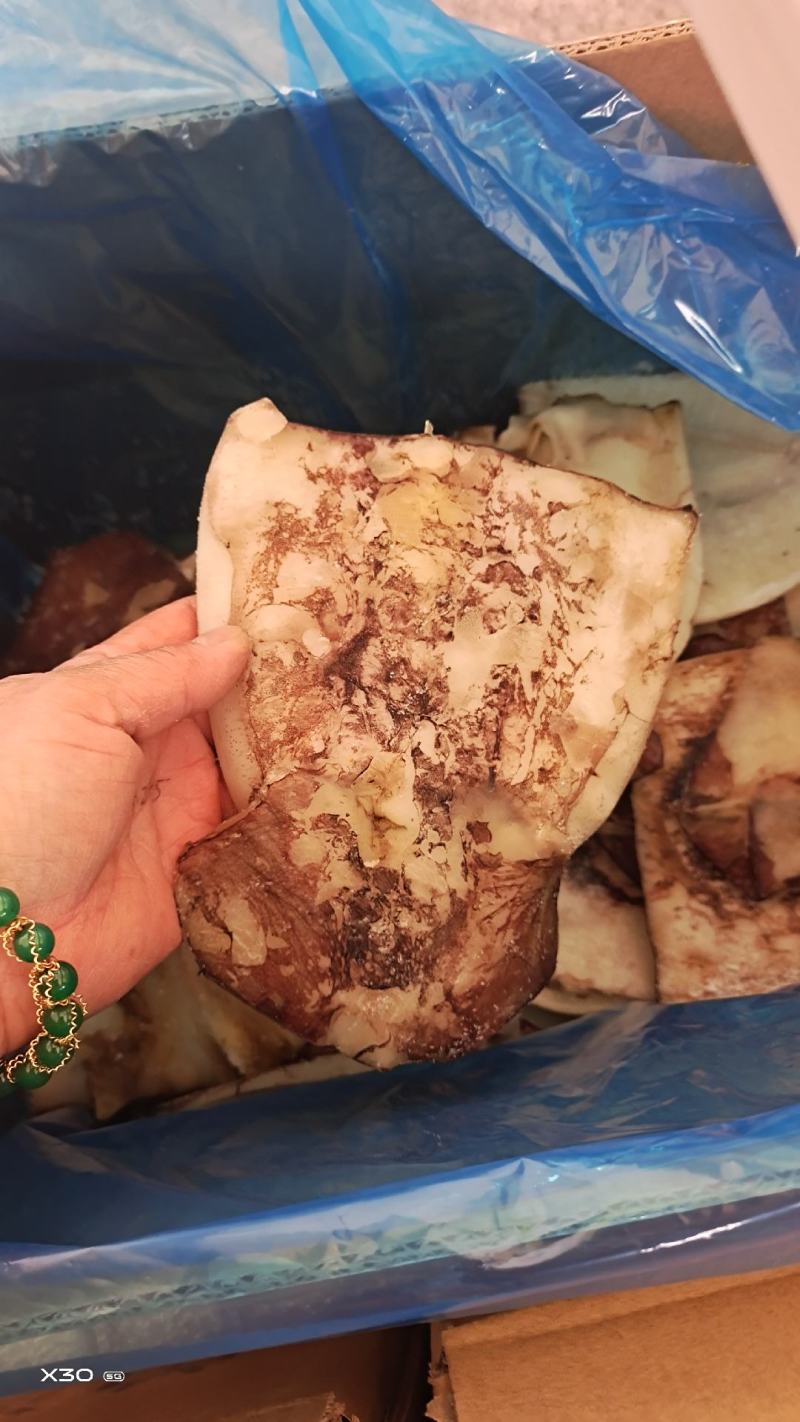 鱿鱼干鲜冻品去内脏的！做烧烤，饭店专用6斤.8斤1手货源