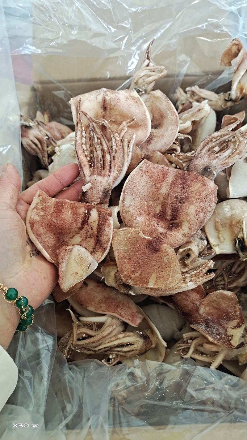 鱿鱼干鲜冻品去内脏的！做烧烤，饭店专用6斤.8斤1手货源