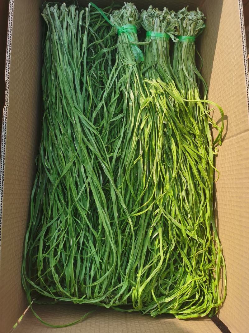 贡菜一级干贡菜原料产地响菜