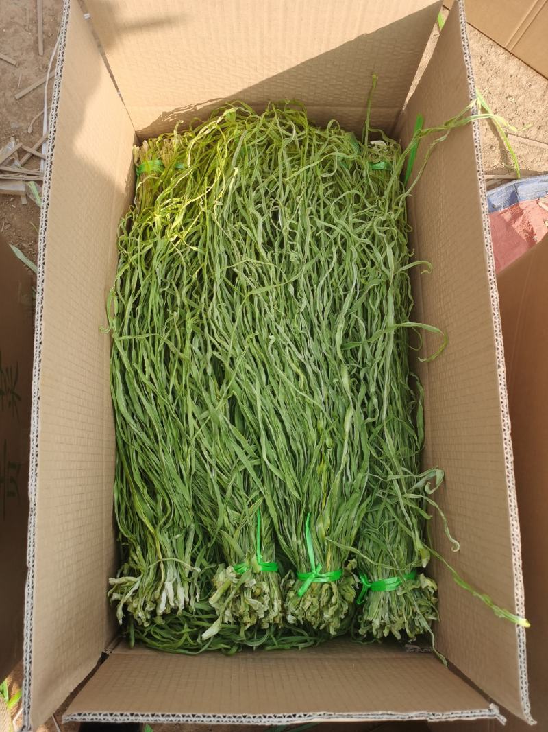 贡菜一级干贡菜原料产地响菜
