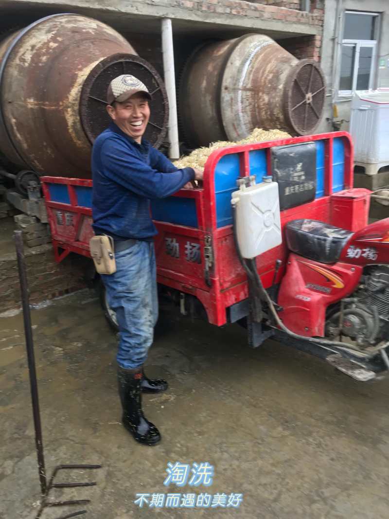 麦冬/麦冬根茎/四川麦冬/四川绵阳麦冬根茎/新品上市
