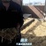 麦冬/麦冬根茎/四川麦冬/四川绵阳麦冬根茎/新品上市
