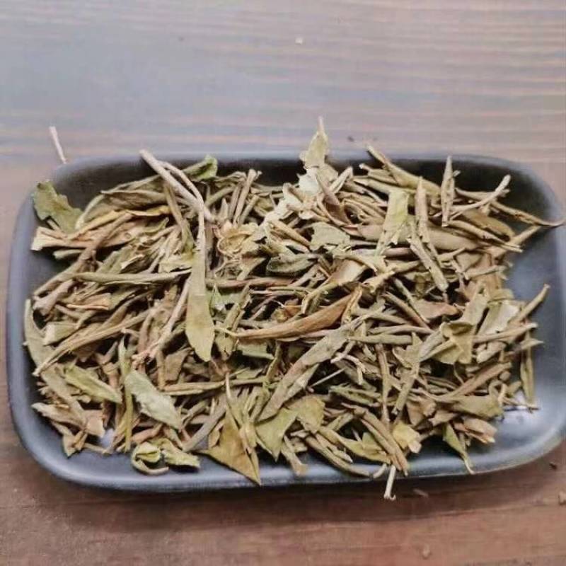 满山红叶可打粉批发零售中药材品质保证