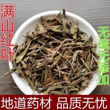 满山红叶可打粉批发零售中药材品质保证
