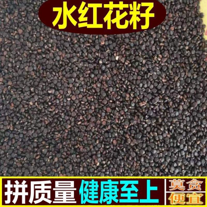水红花子可打粉批发零售中药材品质保证