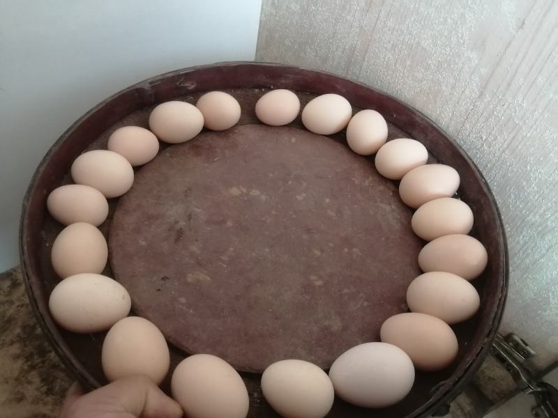 江西农家养鸡蛋（自家养非专业饲养）