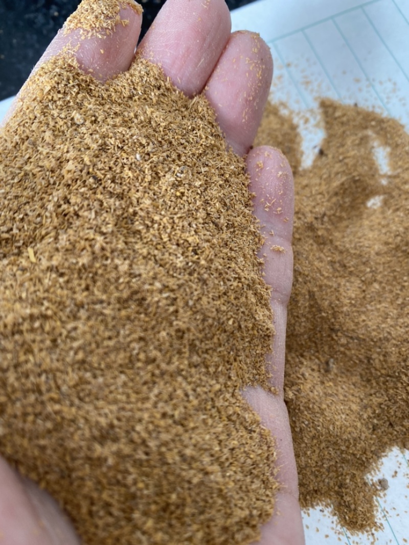厂家直销优质小米糠小米油糠喷浆糠禽畜饲料原料