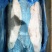 巴沙鱼片精品去皮巴沙鱼片冷库储存越南进口