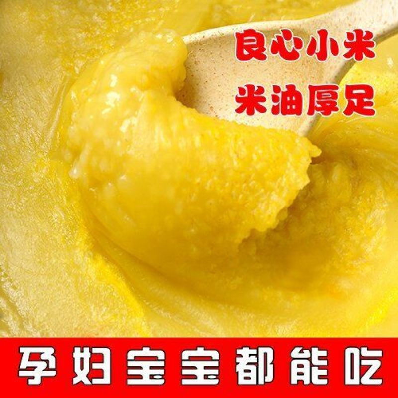 【小米】陕北高原山地小米，小米粥产地直供保质保量