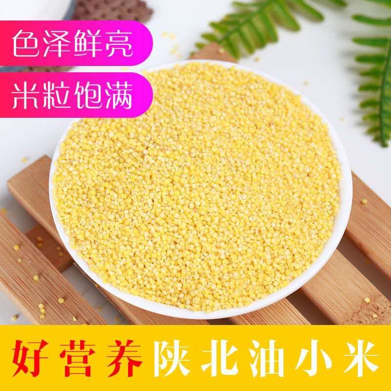 【小米】陕北高原山地小米，小米粥产地直供保质保量