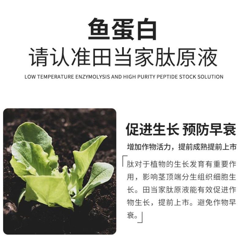 氨基酸肥料酶解鱼蛋肽原液水溶肥料冲施肥正品瓜果树蔬菜叶面