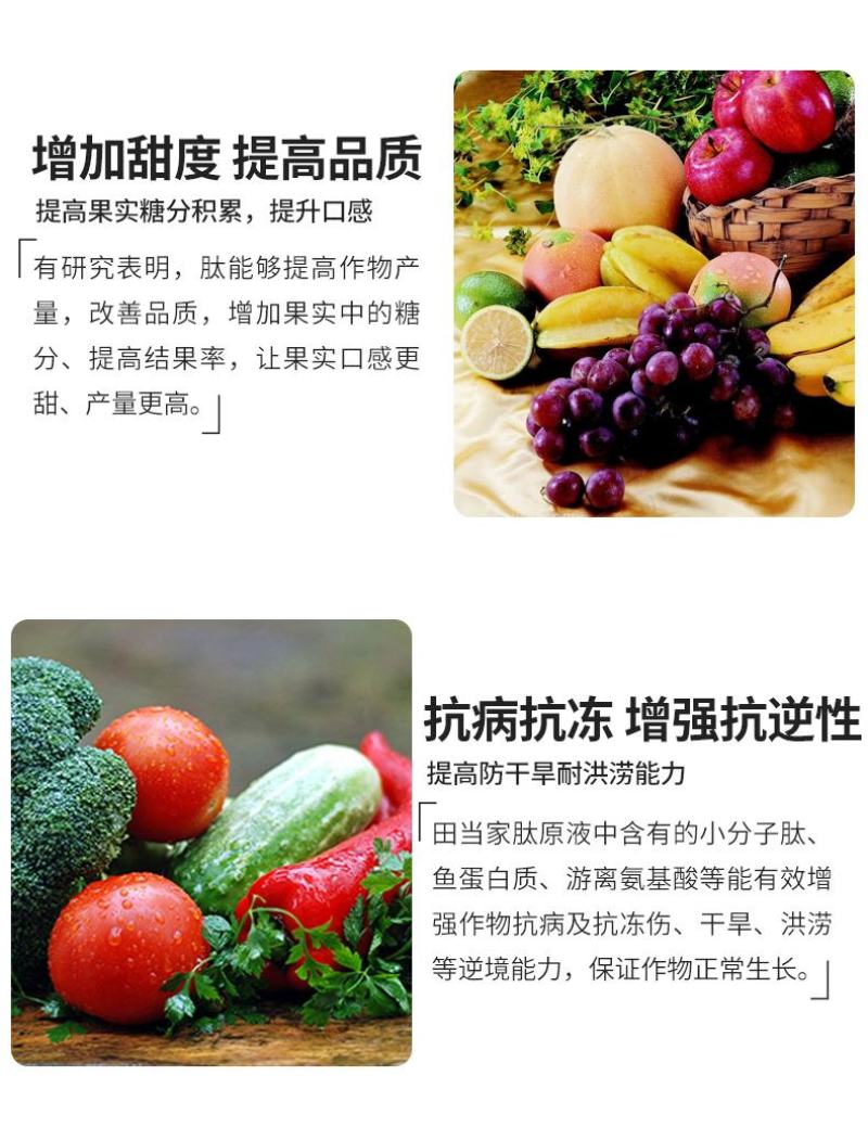 氨基酸肥料酶解鱼蛋肽原液水溶肥料冲施肥正品瓜果树蔬菜叶面