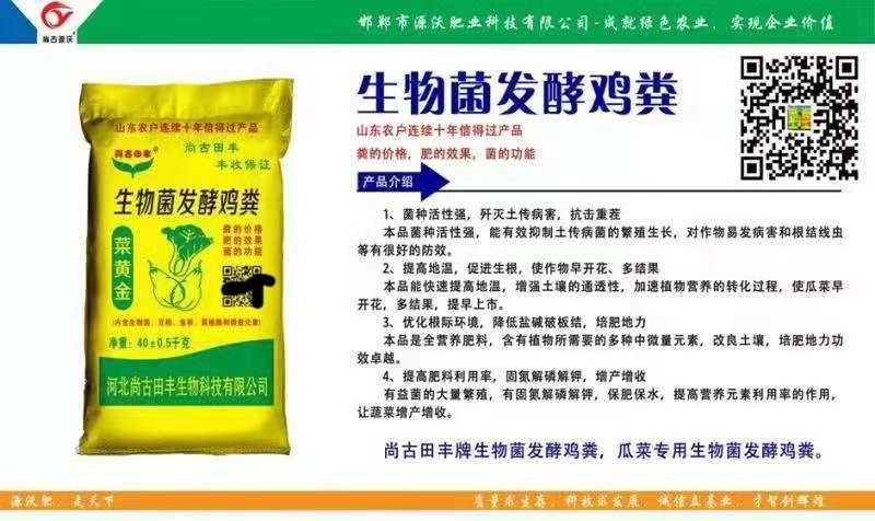 生物菌发酵鸡粪(菜黄金)粪的价格肥的效果菌的功能