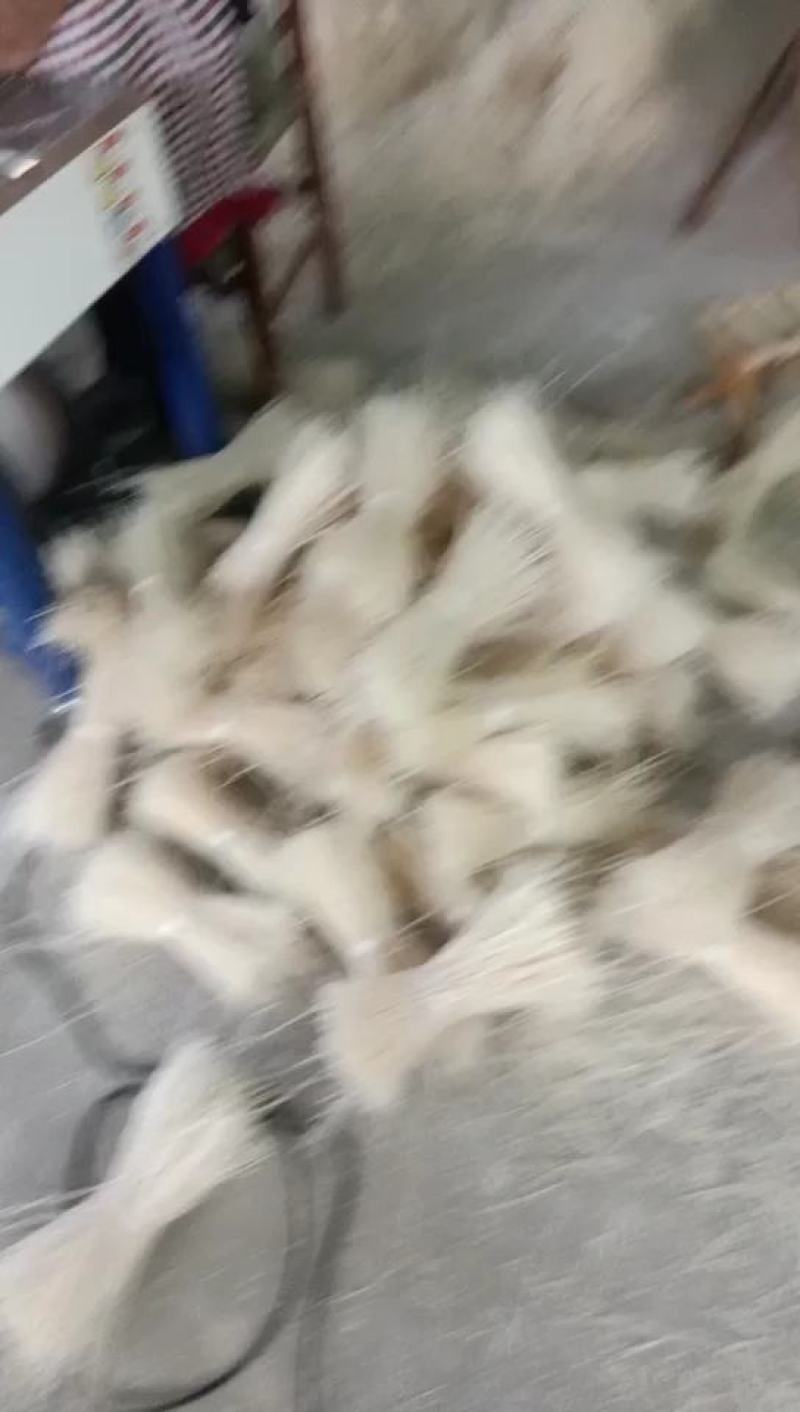 山药粉条(忆鲁味)铁棍山药粉条山药细粉